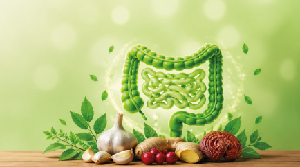 digestive system health natural ingredients gut balance support